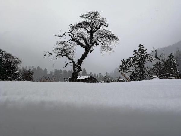 南京雨花台区:“新滨江”建设推出八大行动